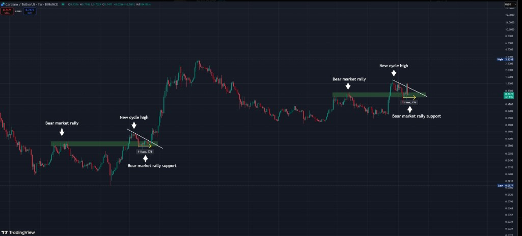 What's Next for Cardano Price as Whales Accumulate 180 Million ADA